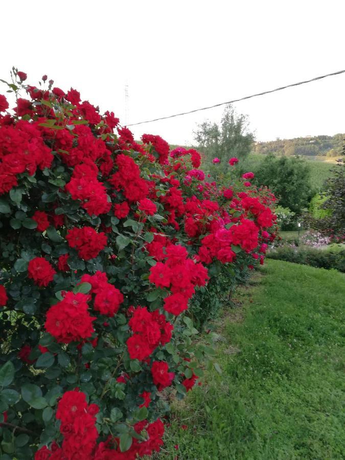 La Giribaldina Winery & Farmhouse Calamandrana エクステリア 写真