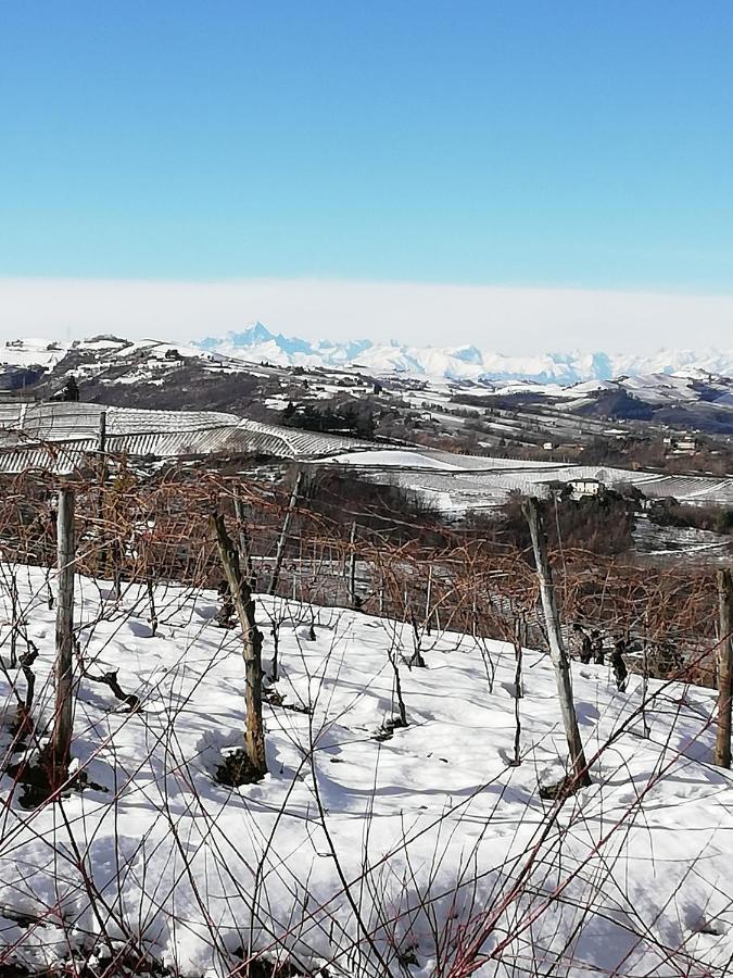 La Giribaldina Winery & Farmhouse Calamandrana エクステリア 写真