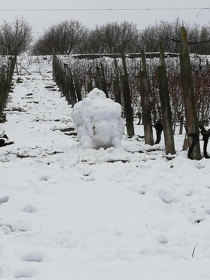 La Giribaldina Winery & Farmhouse Calamandrana エクステリア 写真