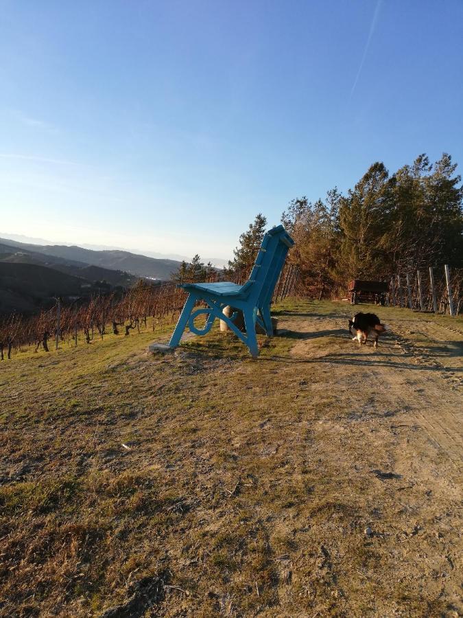 La Giribaldina Winery & Farmhouse Calamandrana エクステリア 写真