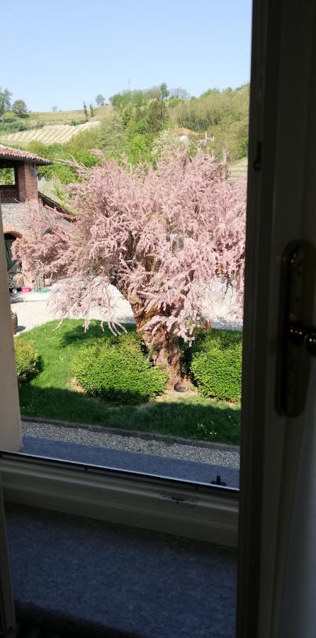 La Giribaldina Winery & Farmhouse Calamandrana エクステリア 写真