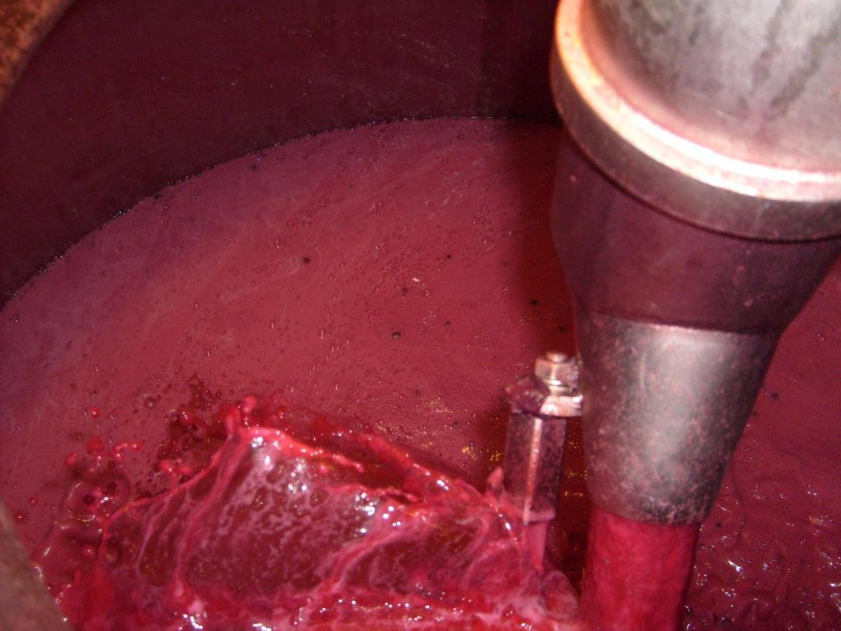 La Giribaldina Winery & Farmhouse Calamandrana エクステリア 写真
