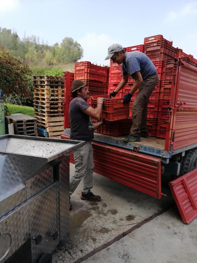 La Giribaldina Winery & Farmhouse Calamandrana エクステリア 写真