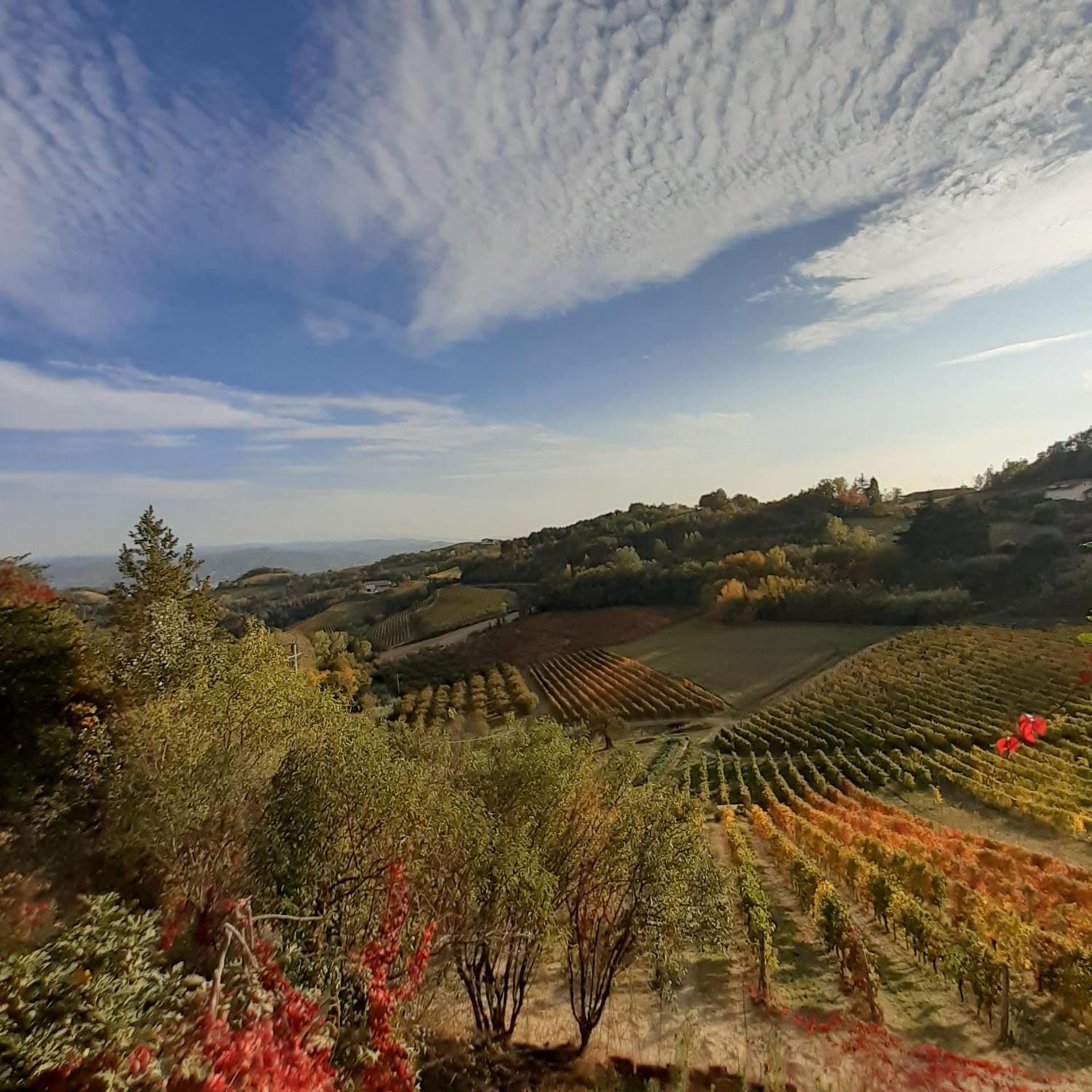 La Giribaldina Winery & Farmhouse Calamandrana エクステリア 写真