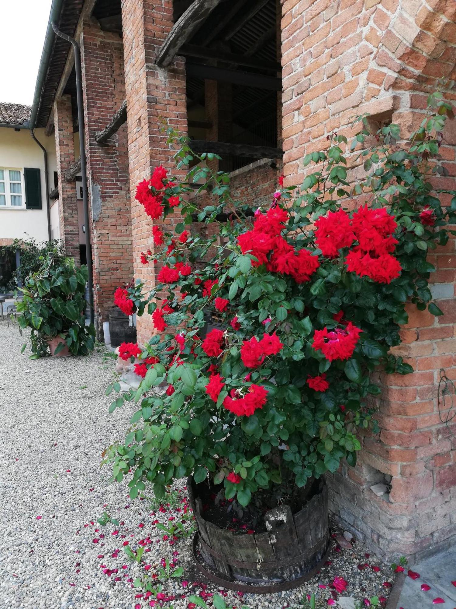 La Giribaldina Winery & Farmhouse Calamandrana エクステリア 写真