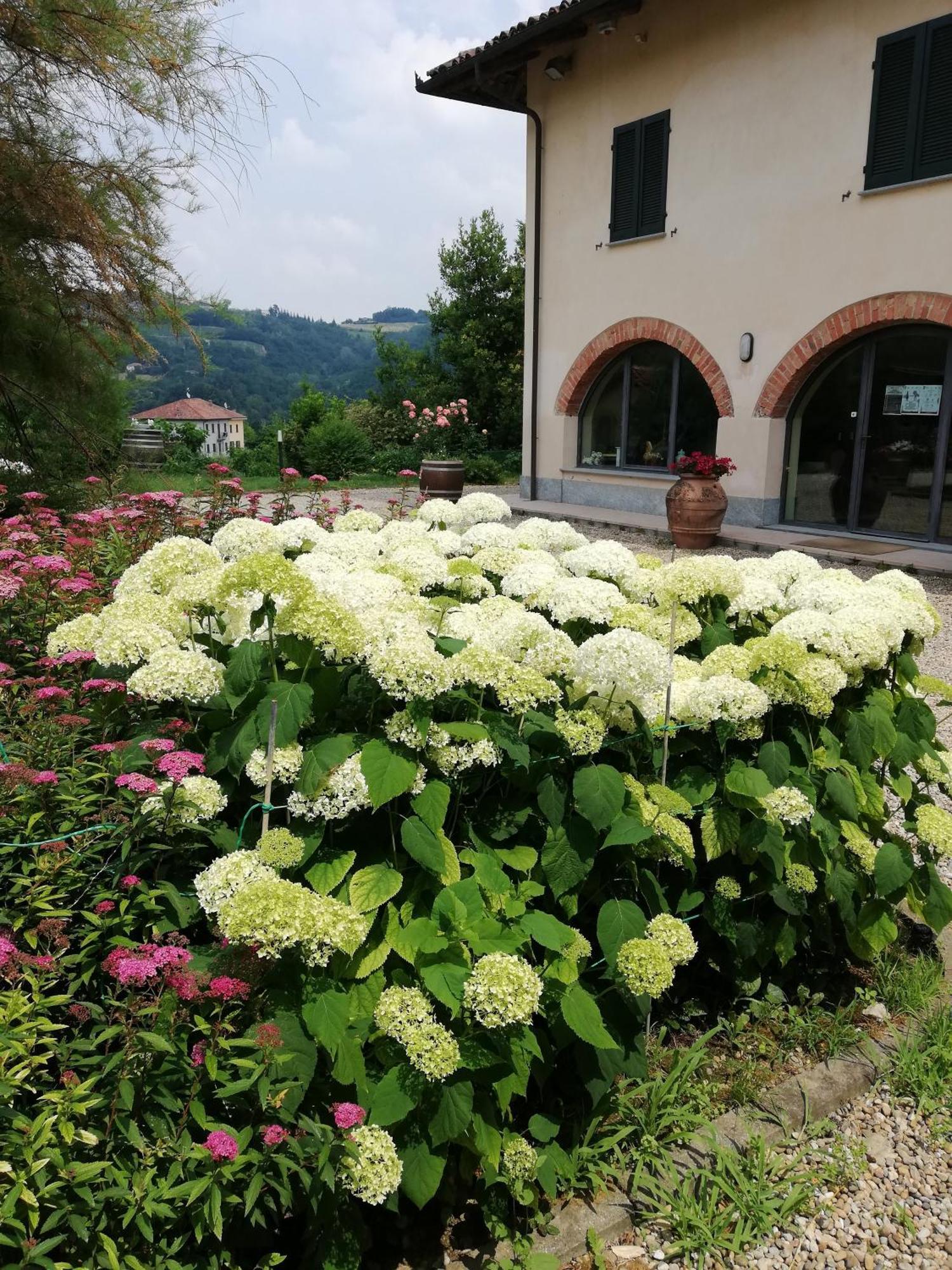La Giribaldina Winery & Farmhouse Calamandrana エクステリア 写真