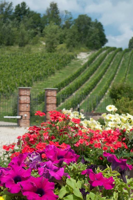 La Giribaldina Winery & Farmhouse Calamandrana エクステリア 写真